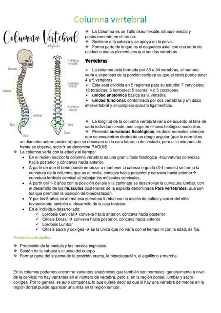 Columna Vertebral Lourdes Camila Udocz