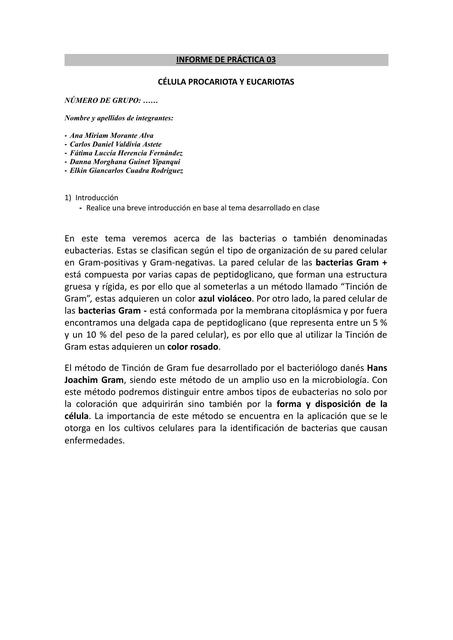 Informe De Pr Ctica Fatima Udocz