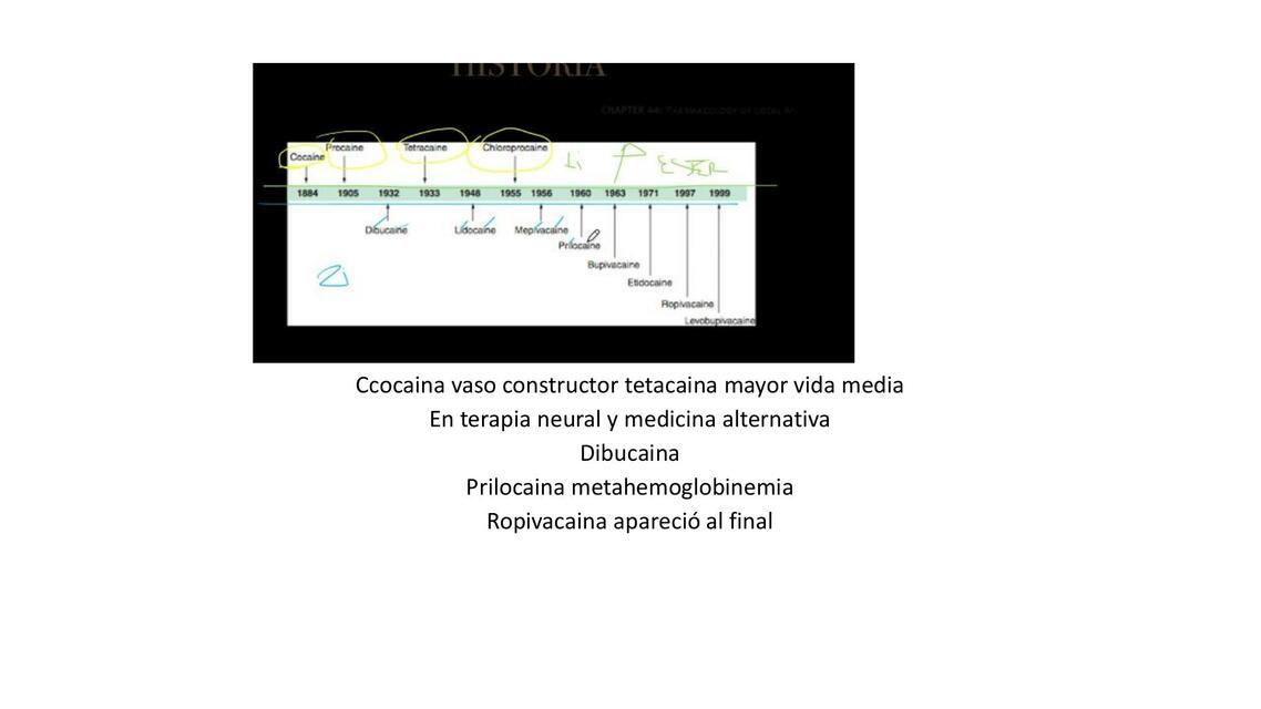 Anestesicos Locales Paola Gabriela Mu Oz Hernandez Udocz