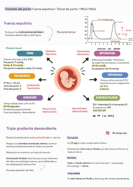 Factores Del Parto Ms Study Med UDocz