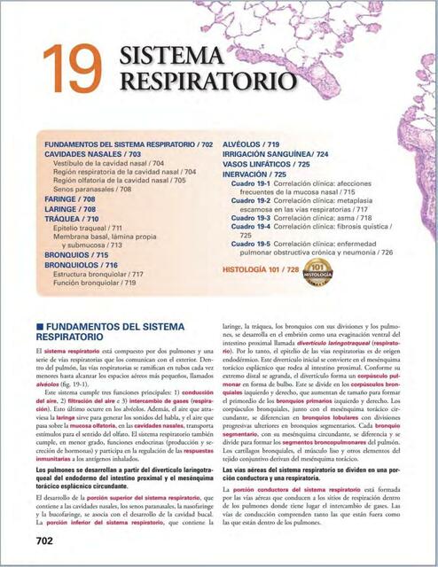 Sistema Respiratorio Ross Maydelin Silvestre UDocz