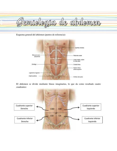 Semiología de abdomen Iris Figueroa uDocz