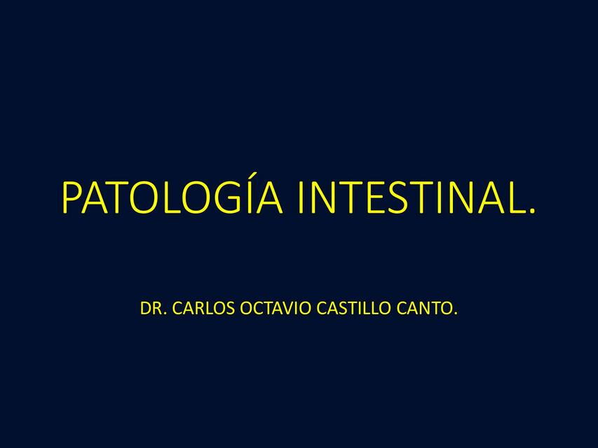 Patologia Intestinal Fernanda Udocz