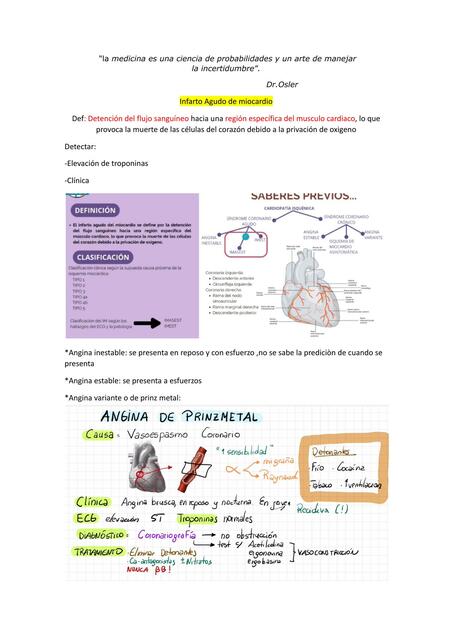 Infarto Agudo De Miocardio Docx Ekaterina Parraga Camayo Udocz