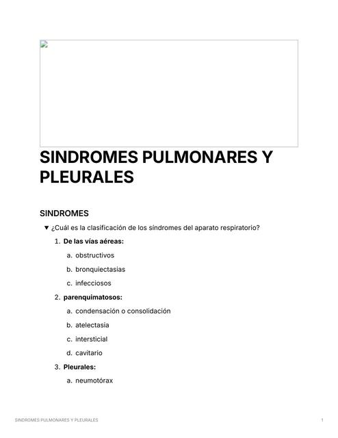 Sindromes Pulmonares Y Pleurales Manual Medi Fer Udocz