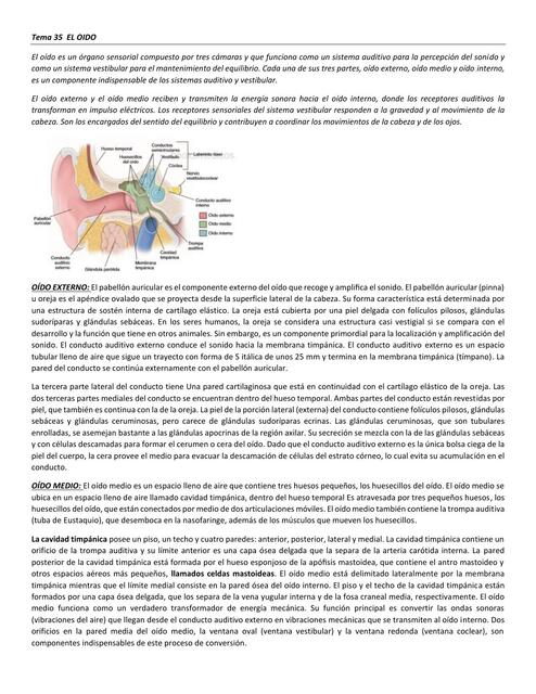 Tema El Oido Yohely Valentina Valenzuela Barrios Udocz