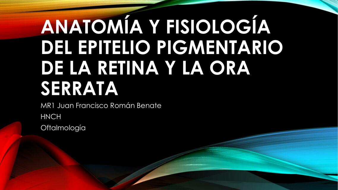 anatomía y fisiología del epitelio pigmentario de la retina