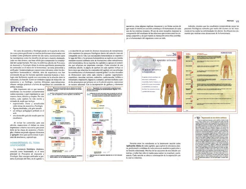 anatomia y fisiologia muestra 2 en 1