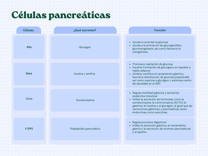 Células pancreatica