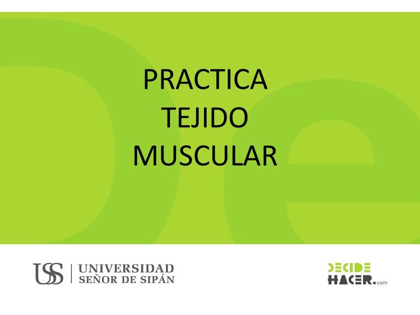 TEJIDO MUSCULAR PRACTICA