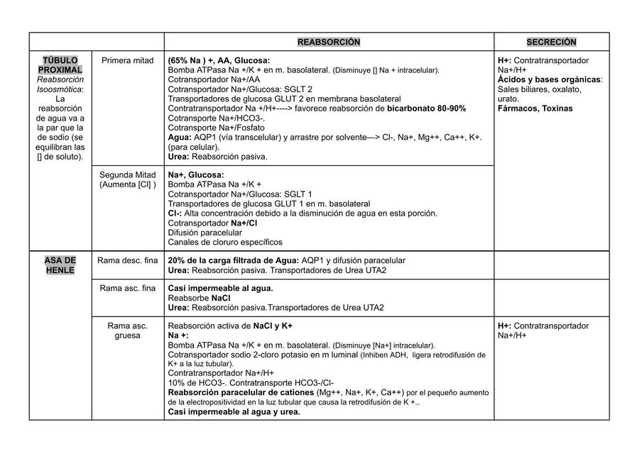 Resumen Reabsorción y secreción tubular renal