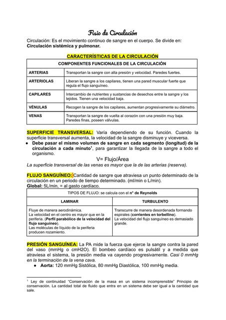 Fisiología de Circulación/Vasos Sanguineos