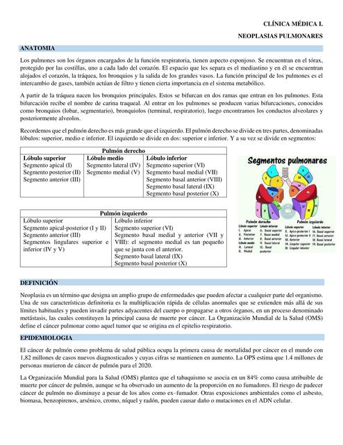 NEOPLASIAS PULMONARES