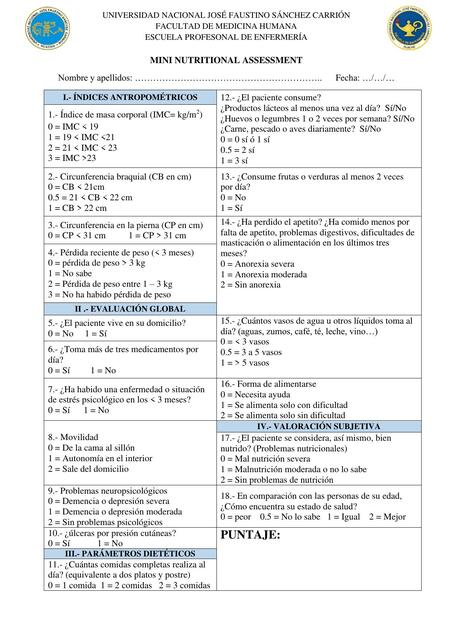 MINI NUTRITIONAL ASSESSMENT