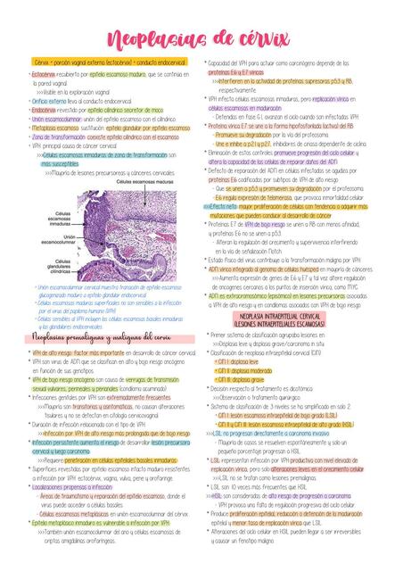 NEOPLASIA DE CÉRVIX UTERINO - Robbins