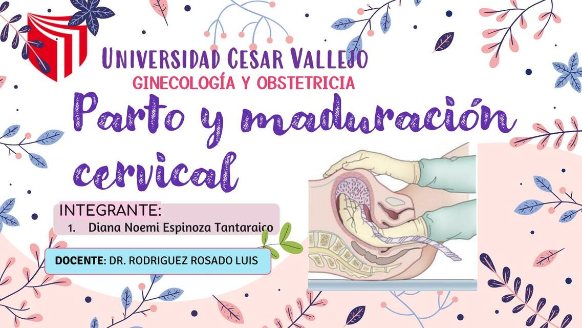 alumbramiento y maduracion cervical