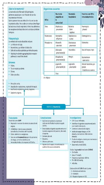 Mapa mental de neumonia