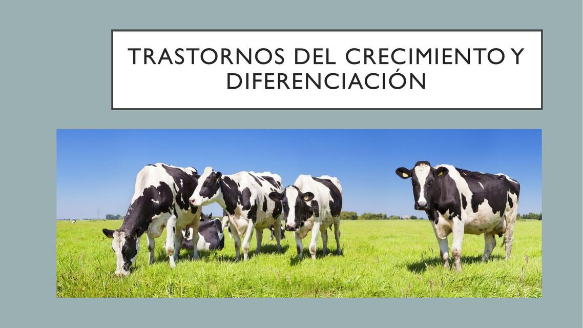 2R Trastornos del crecimiento y diferenciación