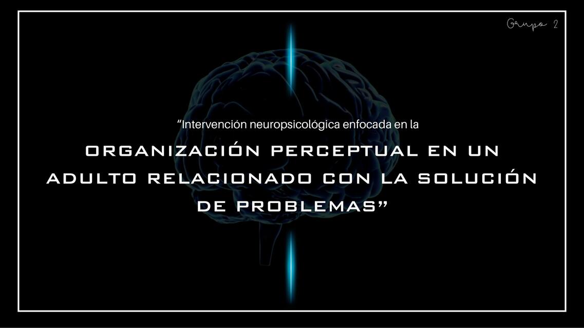 neuropsicología plan de intervención