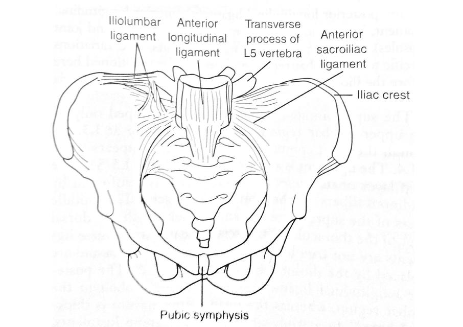 Esquemas pelvis