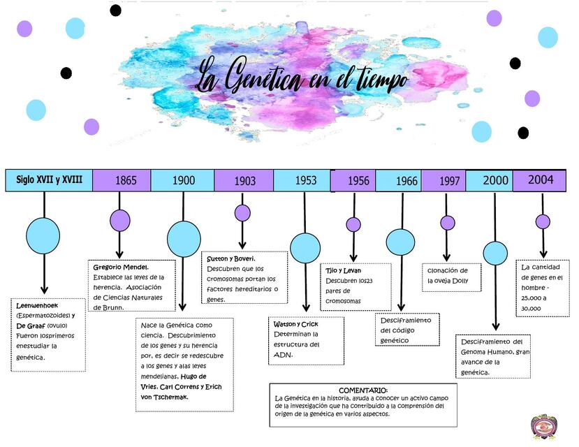 Linea del tiempo genetica