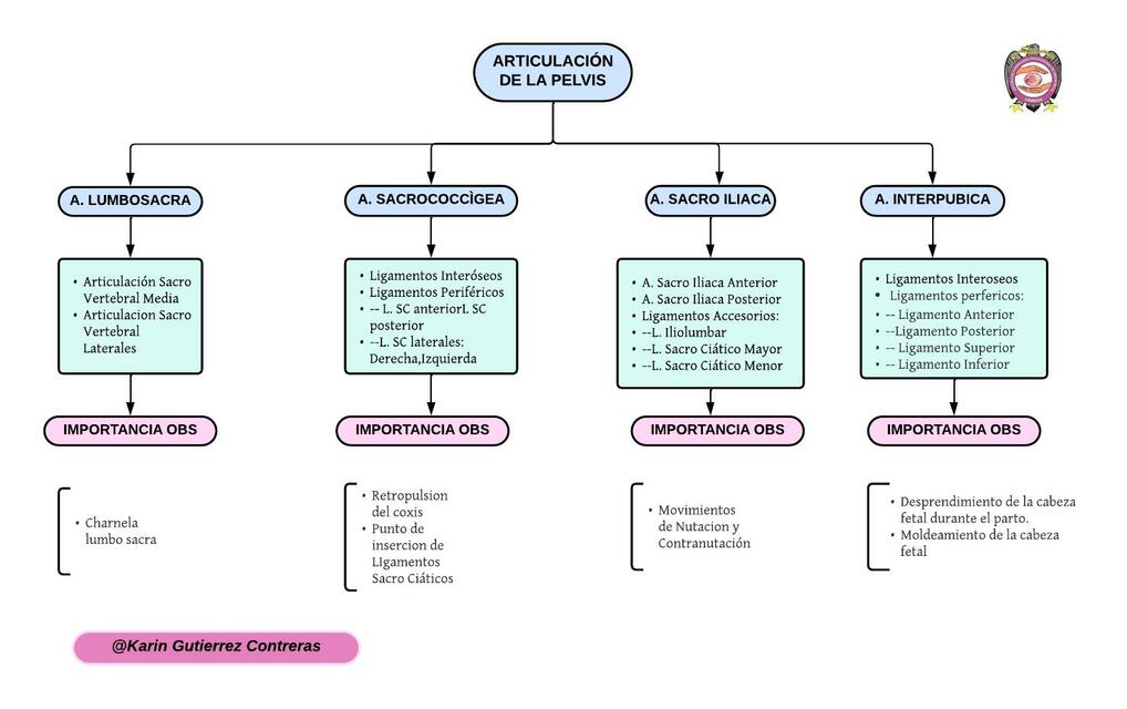 MAPA CONCEPTUAL DE LA ARTICULACIÓN DE LA PELVIS