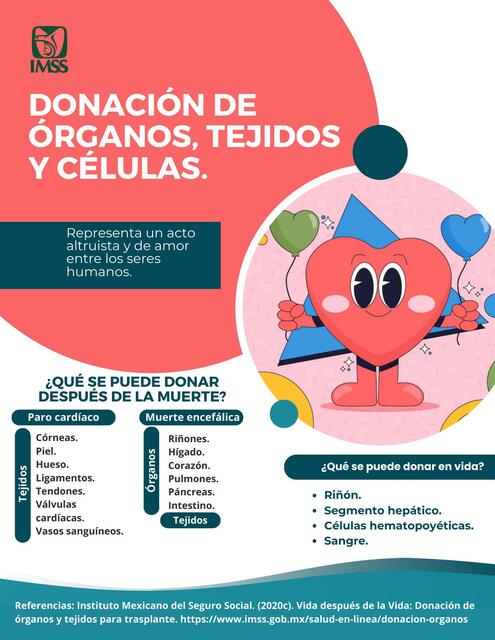 flyer donacion organos