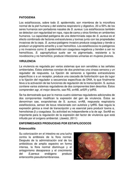 Enfermedades virulencia patogenia