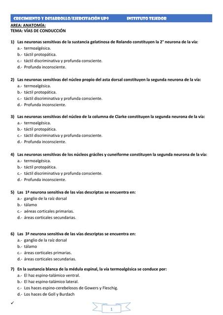 Cyd Up9 Prctica Agostina Yacono Udocz