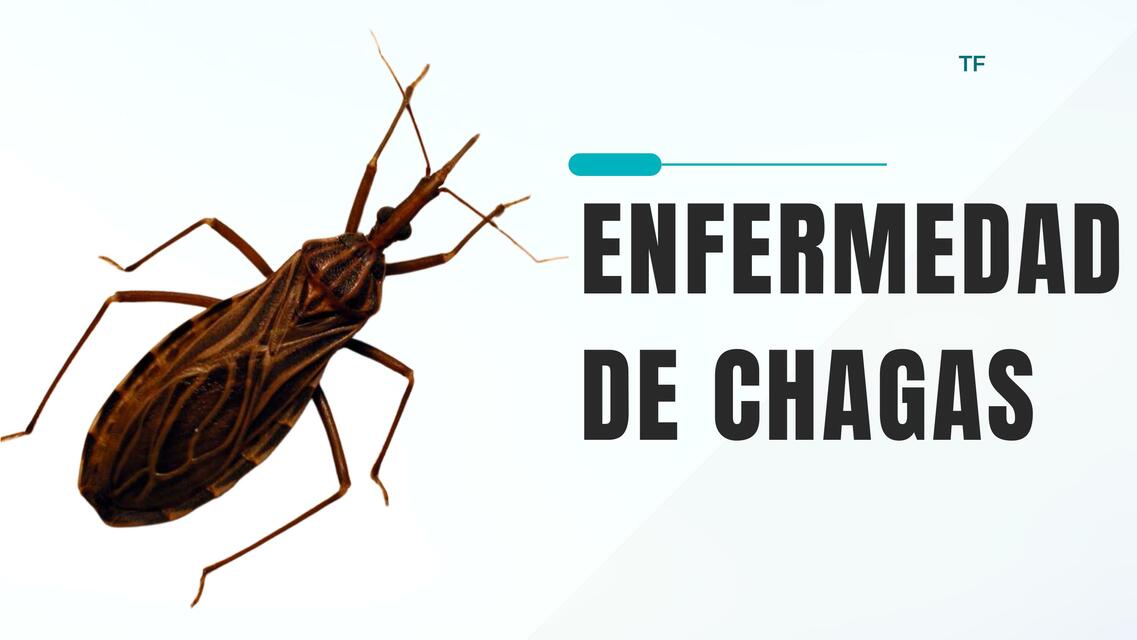 CHAGAS