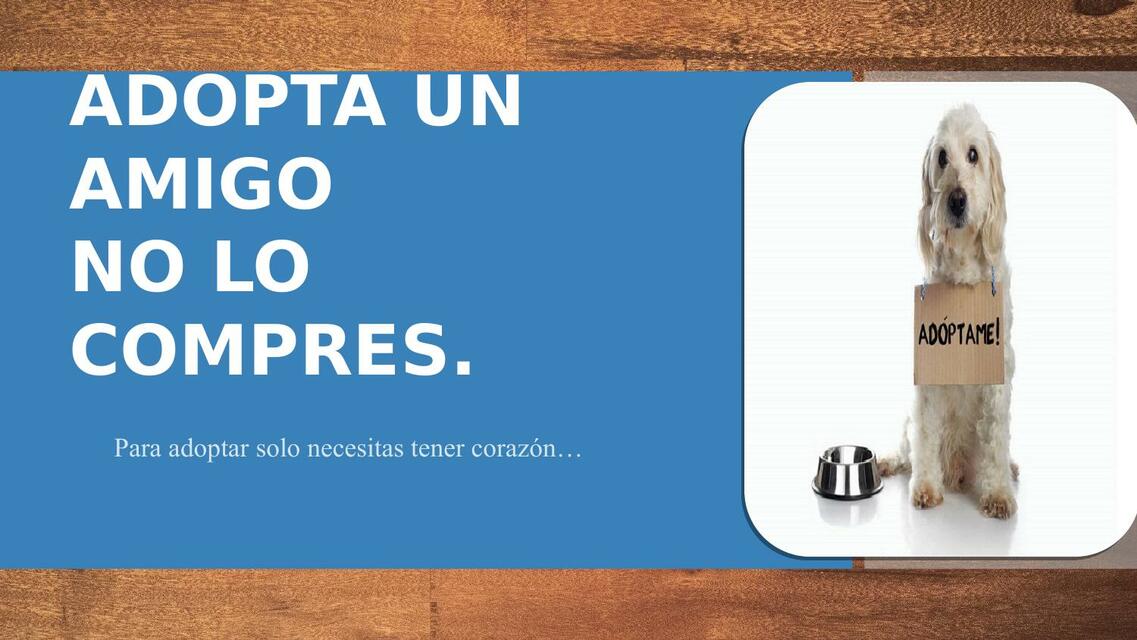 ADOPTA UN AMIGO NO LO COMPRES - MENTORING