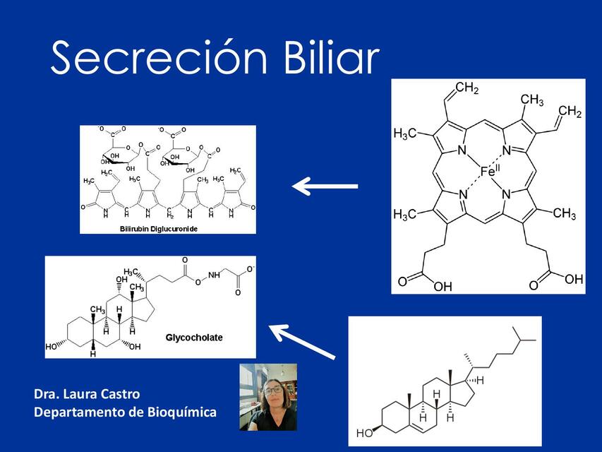 secreción biliar