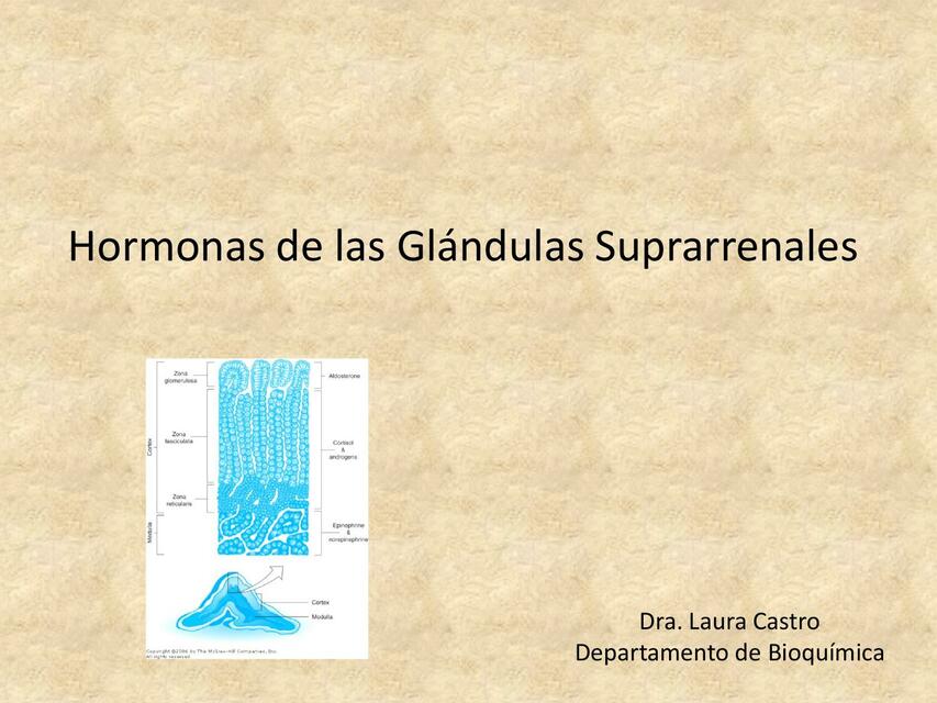 hormonas esteroideas y catecolaminas Laura Castro