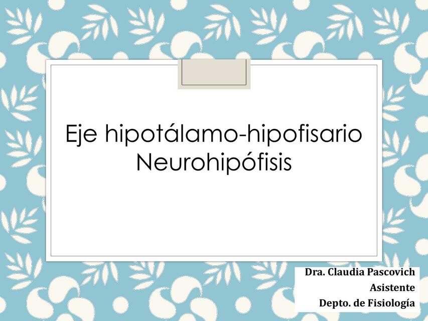 Eje hipotálamo hipofisario Neurohipófisis