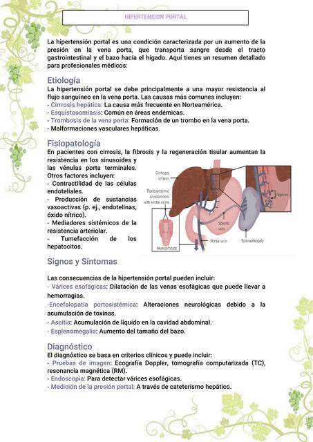 HIPERTENSION PORTAL