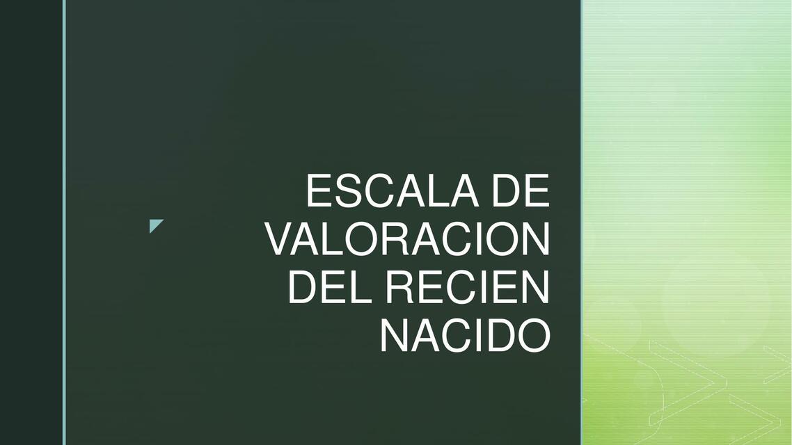 escala de valoracion 1