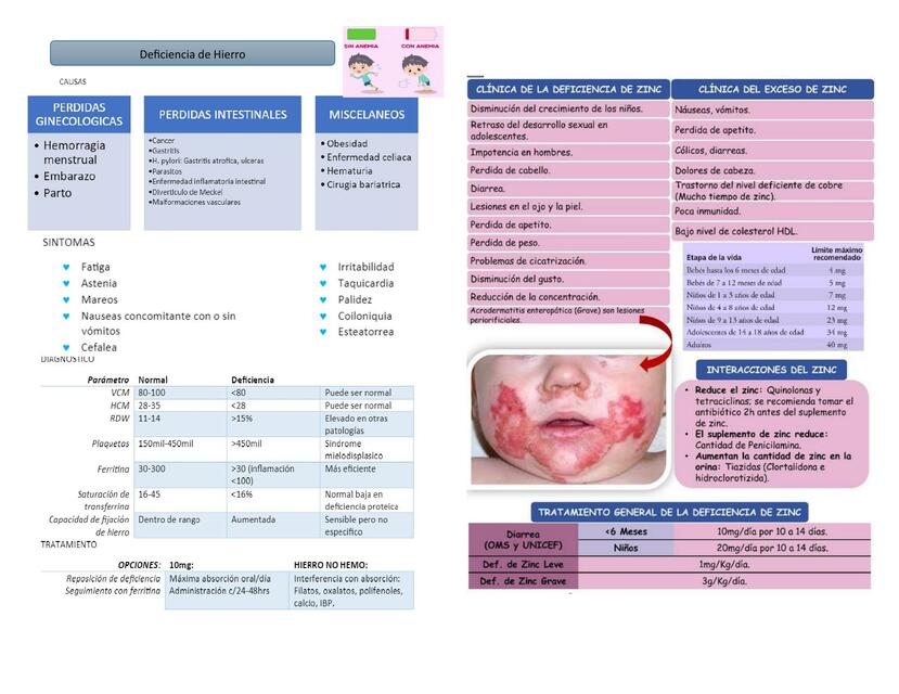 deficiencia de hierro y zinc