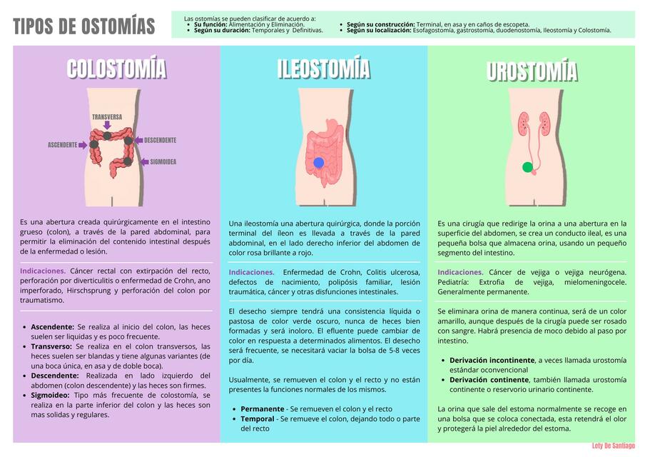 Tipos de Ostomías (Colostomía, Ileostomía y Urostomía)