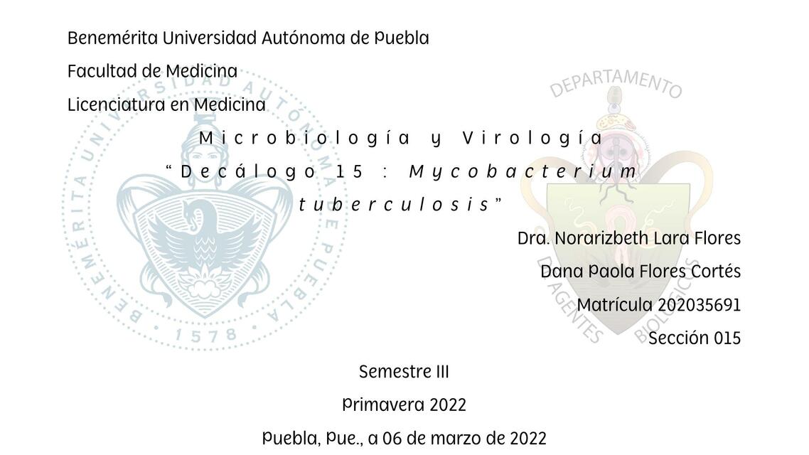 15 Mycobacterium tuberculosis