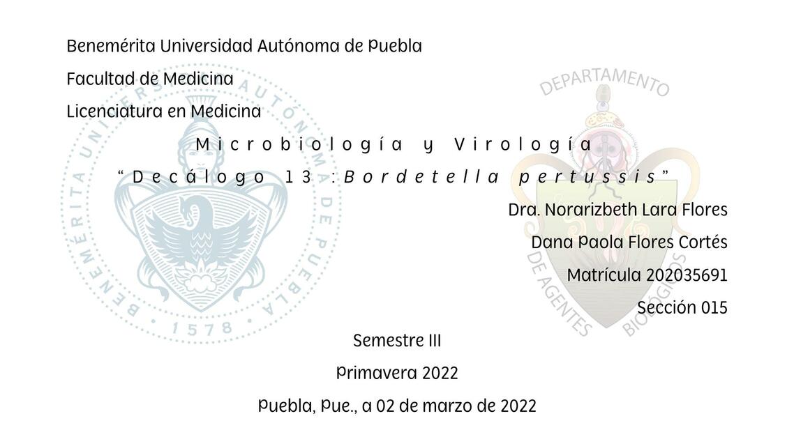 13 Bordetella pertussis