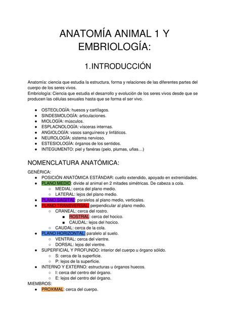 Anatomia Animal 1 Y Embriologia Montserrat Udocz