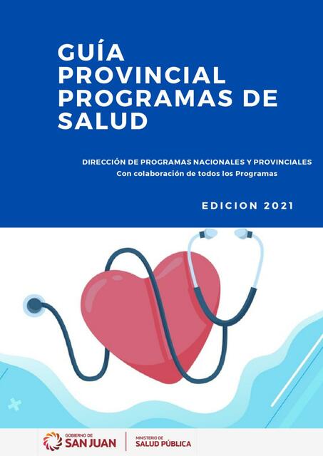 Guía provincial programas de salud 