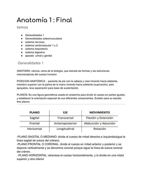 Anatomía 1 Final