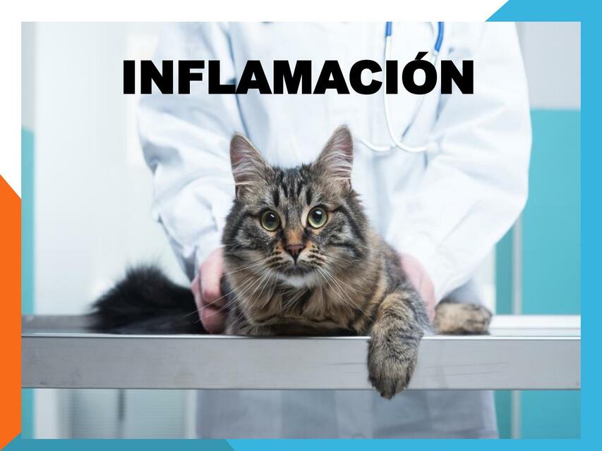 Inflamación