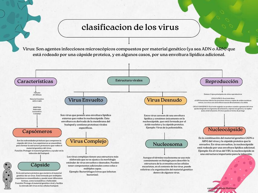 Clasificación de los virus | Areis | uDocz