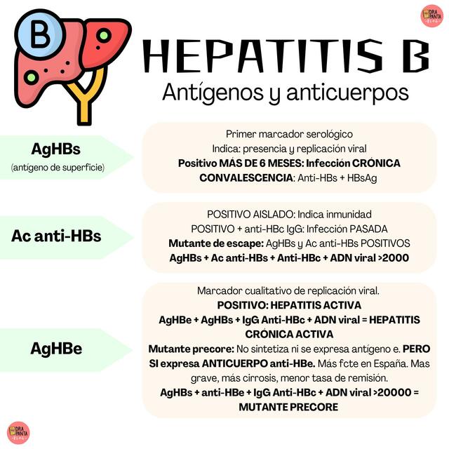 HEPATITIS B ANTIGENOS Y ANTICUERPOS