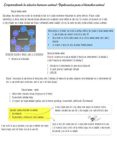 Relación Humano animal