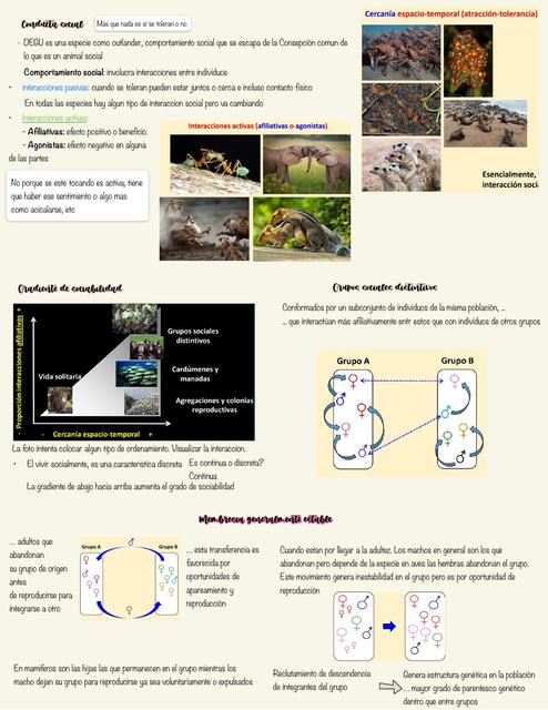 Clase 8 Conducta Social