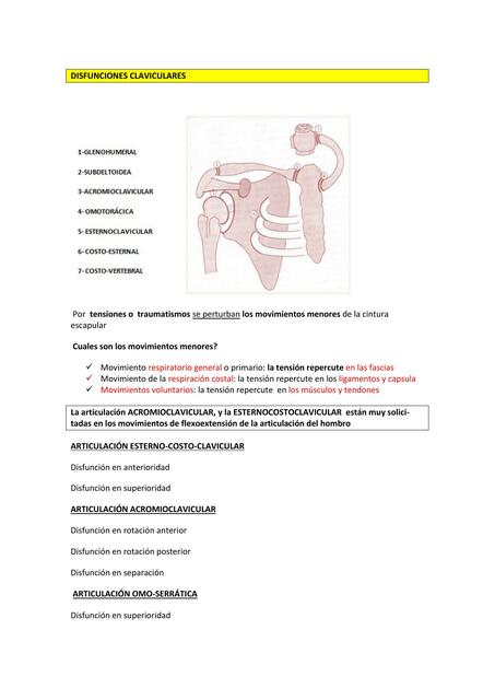 DISFUNCIONES CLAVICULARES