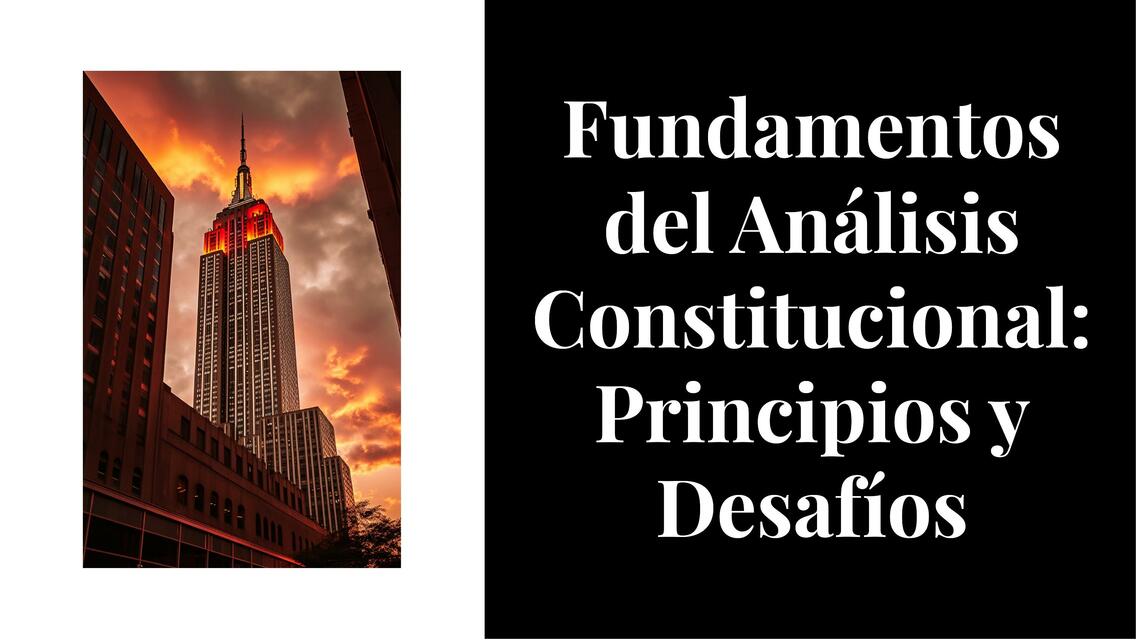 fundamentos del analisis constitucional principios